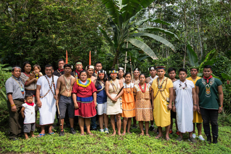 Recognition of Indigenous alliance group most recent in a series of big wins for the Amazon