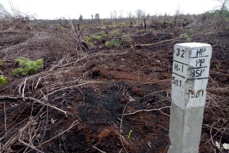 ‘Zero-deforestation’ paper giant APRIL justifies clearing of Sumatran peatland