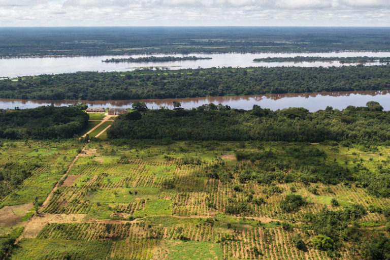 Poor governance fuels ‘horrible dynamic’ of deforestation in DRC