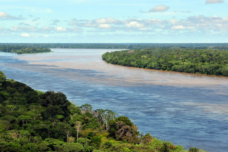 Soy moratorium averted New Jersey-size loss of Amazon rainforest: Study