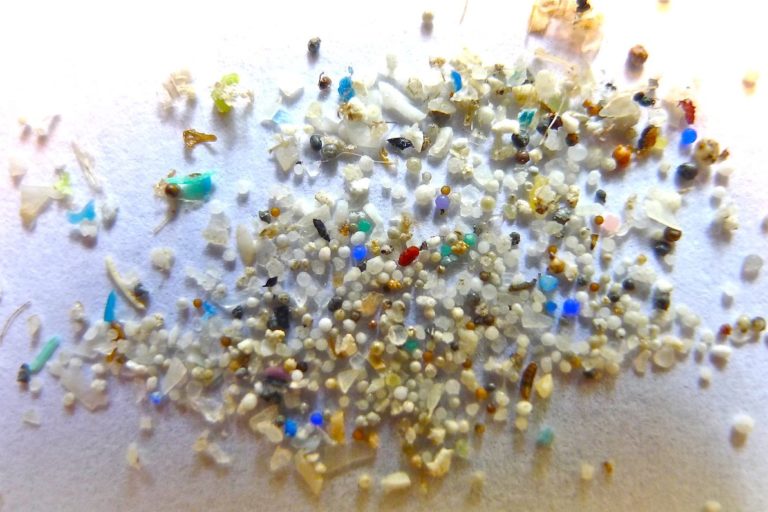 Marine microplastics are now invading the atmosphere, study finds