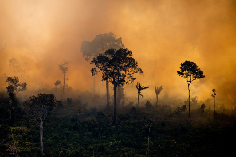 More than 250 major fires detected in the Amazon this year, despite Brazil’s ban
