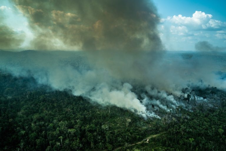 Amazon deforestation jumps sharply in April