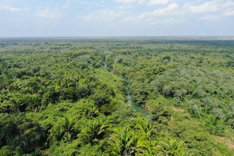 Belize’s Maya Forest Corridor a ‘missing link’ to giant rainforest reserve (commentary)