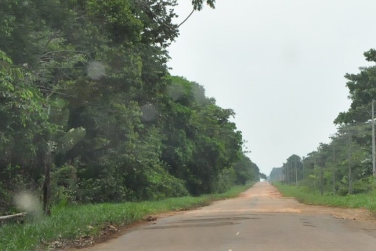 Illegal deforestation intensifies along Brazilian highway as agribusiness hopes swell
