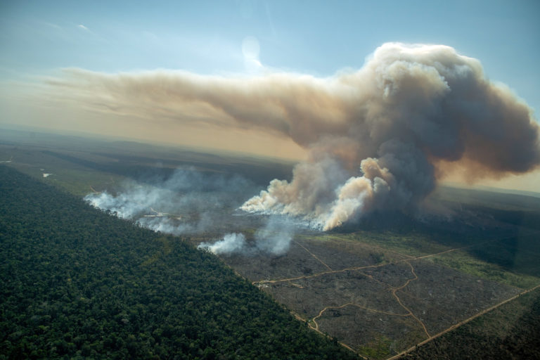 July data put Brazil on track for slight reduction in Amazon deforestation