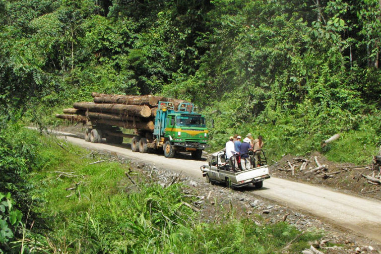 Malaysian timber giant Samling takes conflict over logging activity to court