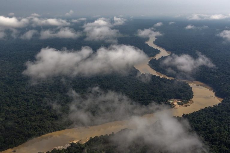 $200 million in gold extracted in Amazon mine through illegal licenses