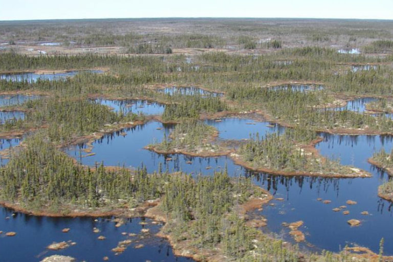 Canada mining push puts major carbon sink and Indigenous lands in the crosshairs
