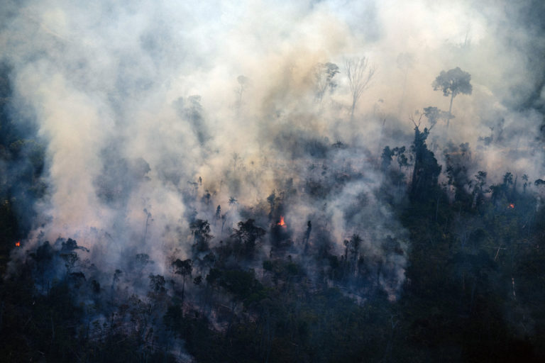 Indepedent watchdog confirms rampant deforestation in the Amazon