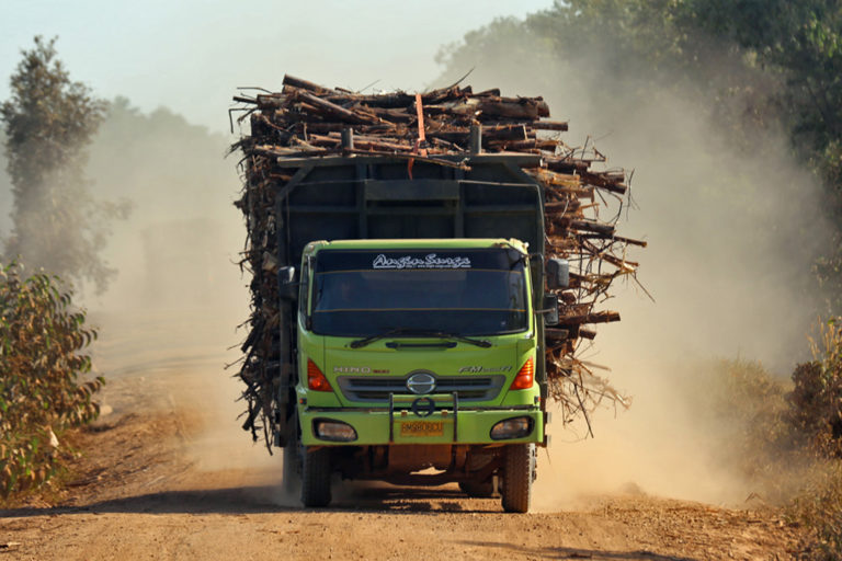 Biomass cofiring loopholes put coal on open-ended life support in Asia