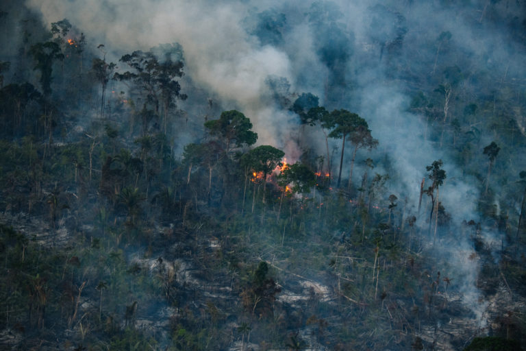 Ahead of election, deforestation increases in Brazil