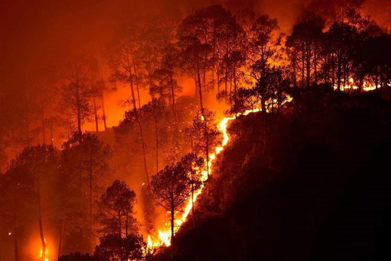 [Commentary] Alternate perspectives on forest fires in India