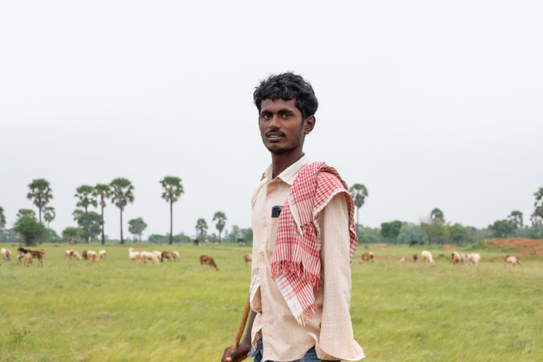 [Video] Mapping Tamil Nadu’s grasslands to protect them and know their role in carbon storage