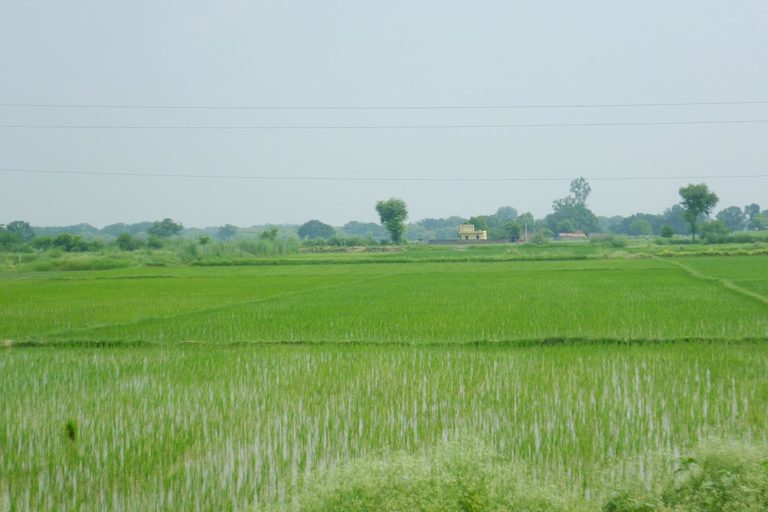 Groundwater depletion in Haryana a cause of serious concern