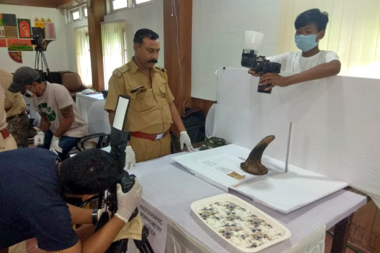 Assam to destroy nearly 2500 seized rhino horns in anti-poaching message