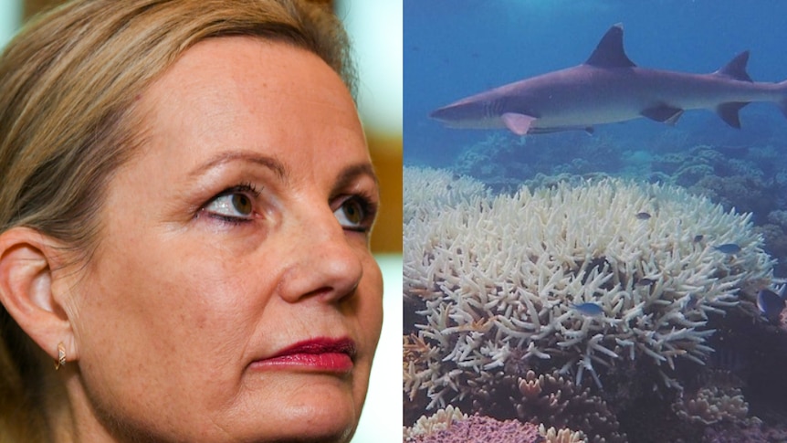 Australia avoids global embarrassment, but the dangers for the reef are real