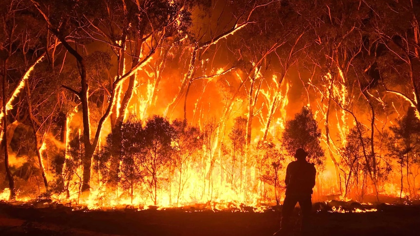 EPA ordered to protect against climate change as bushfire survivors triumph in court