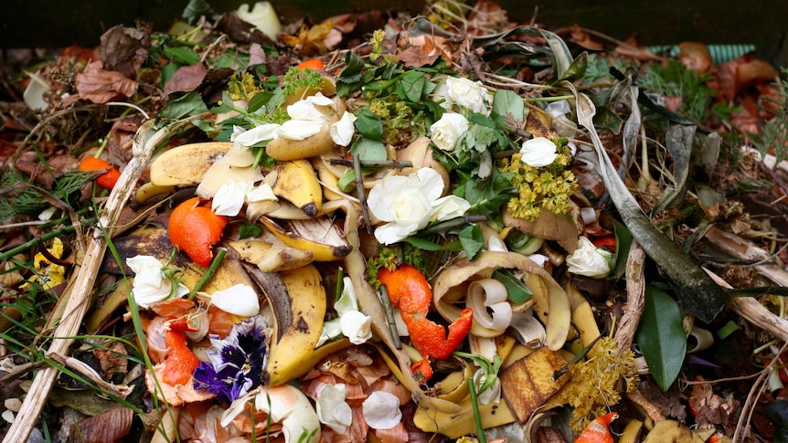 Regional councils join bioenergy project to reduce waste and greenhouse emissions