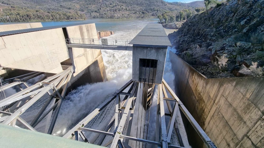 Calls for water allocations rethink as NSW dams threaten to overflow