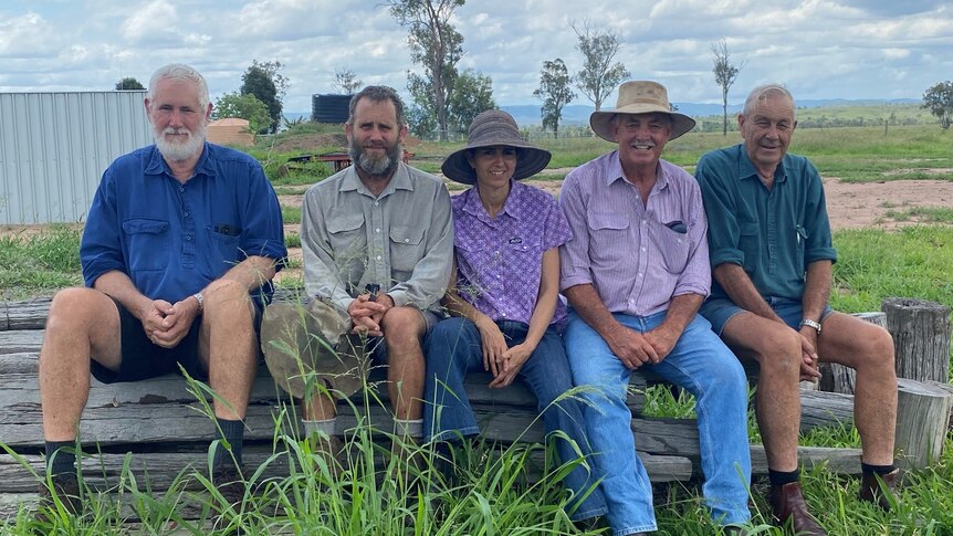 'We're very, very fearful for our land': Farmers call for overhaul of approvals for large-scale solar projects