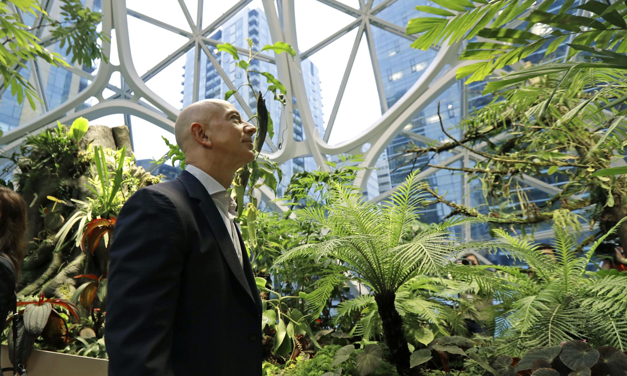 How should Jeff Bezos invest his $10bn Earth Fund?