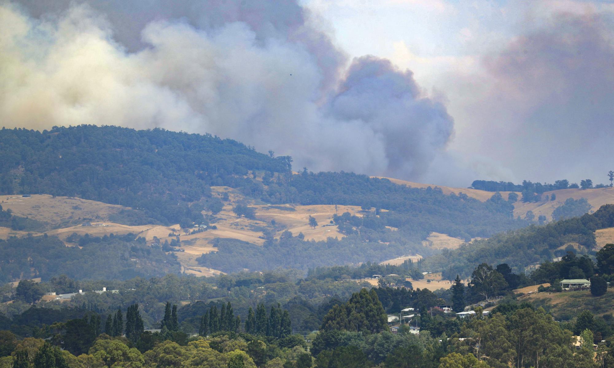 Prominent scientist slams forestry association for dismissing logging links to bushfire risk