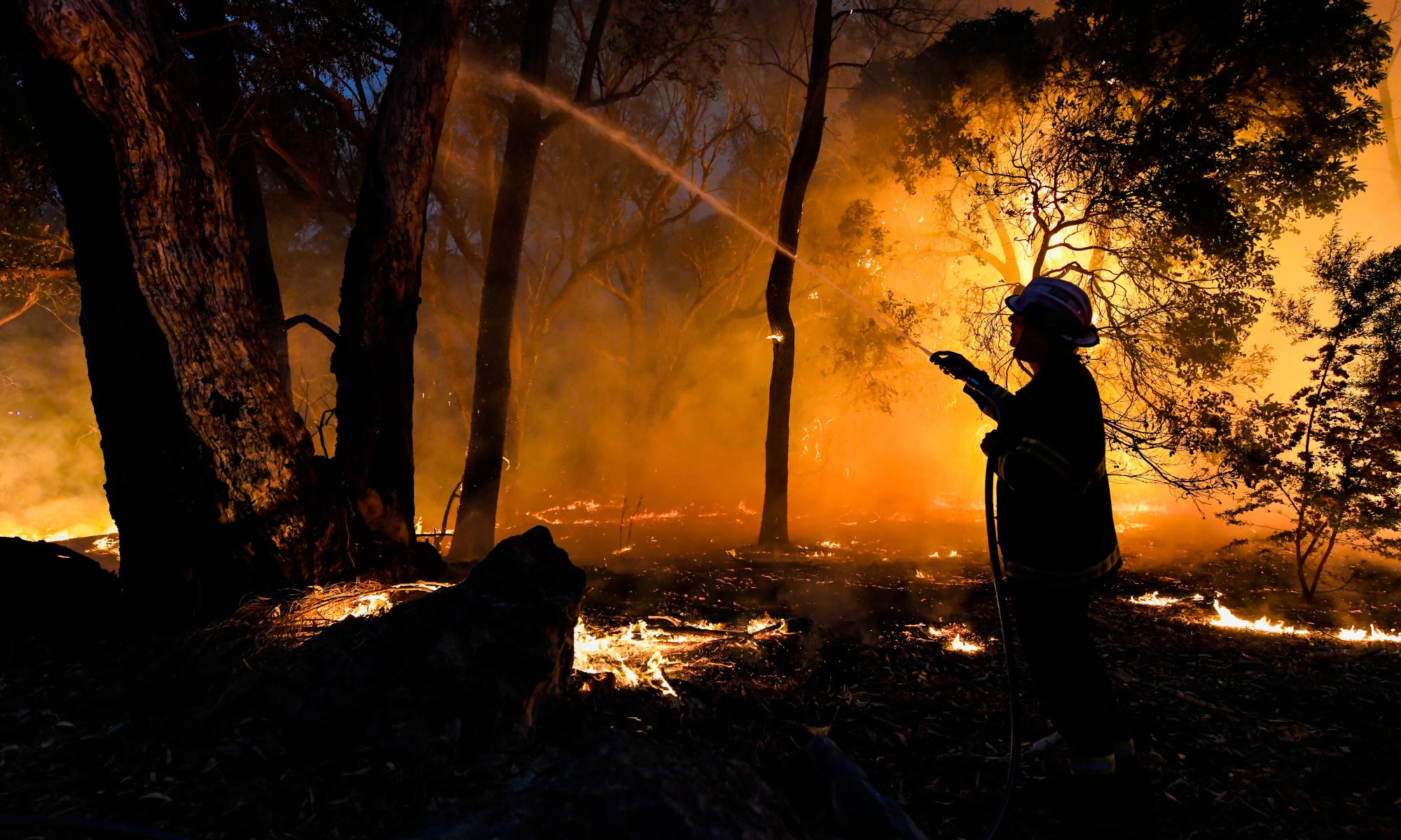 Bushfire crisis: more than half of all Australians found to have been directly affected