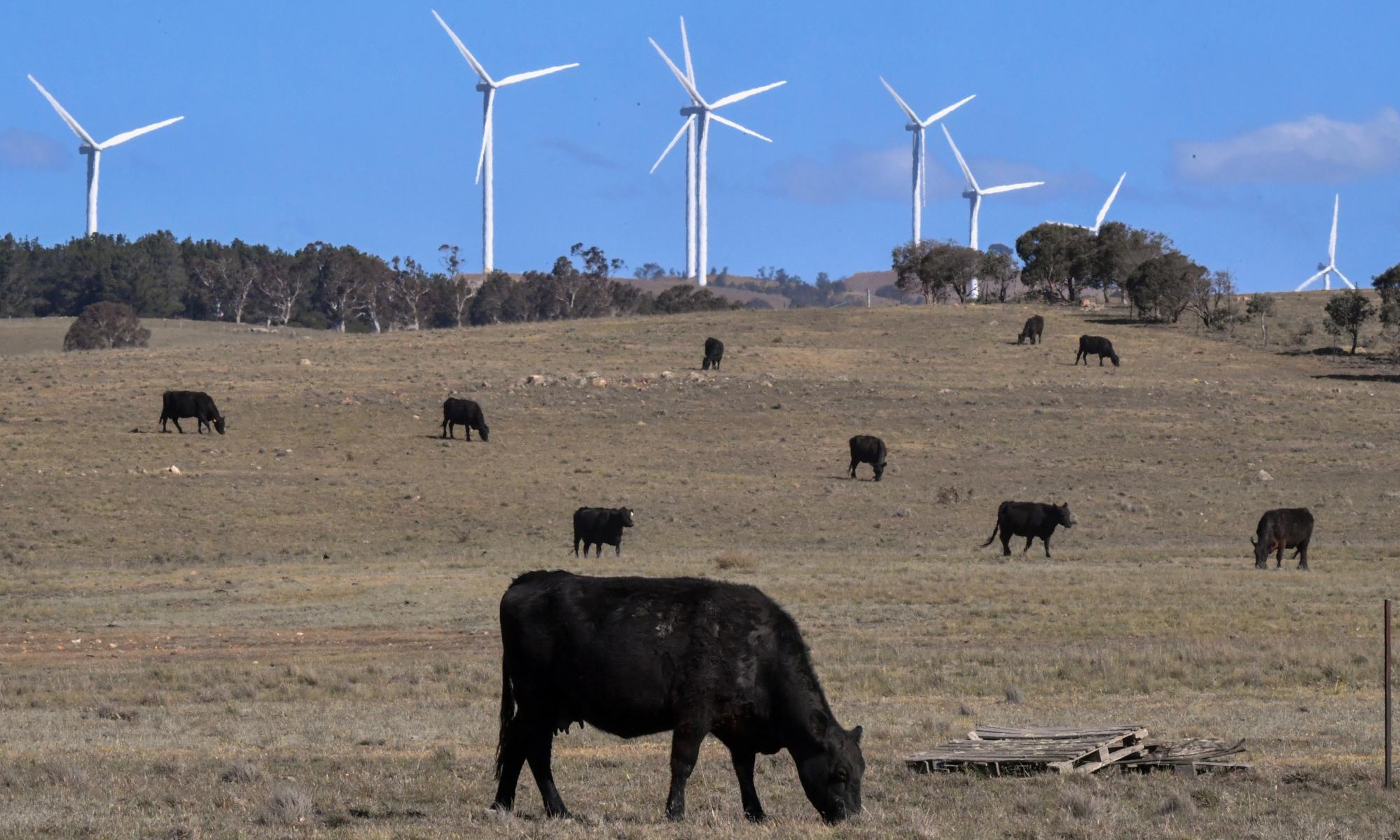 Renewable energy stimulus can create three times as many Australian jobs as fossil fuels