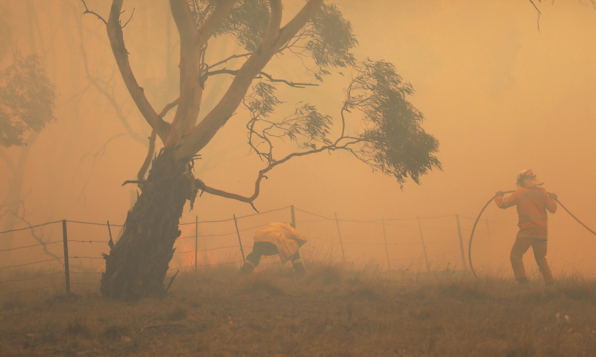 Scientists call on MPs to urgently reduce Australia's emissions amid bushfire crisis