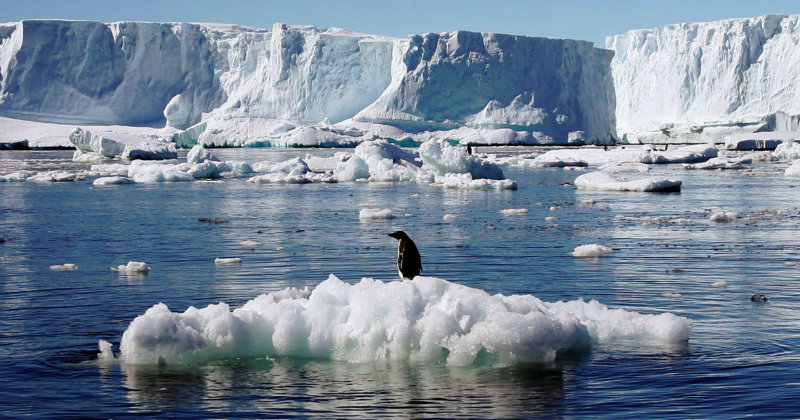 Antarctica Just Recorded Hottest Day Ever In History, And It Should Scare All Of Us