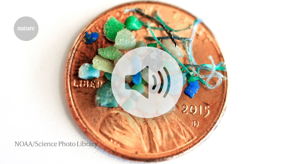 Audio long-read: How harmful are microplastics?