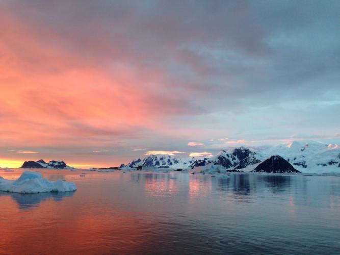 As Antarctic Sea Ice Shrinks, Microbial Biodiversity and CO2 Absorption Decline