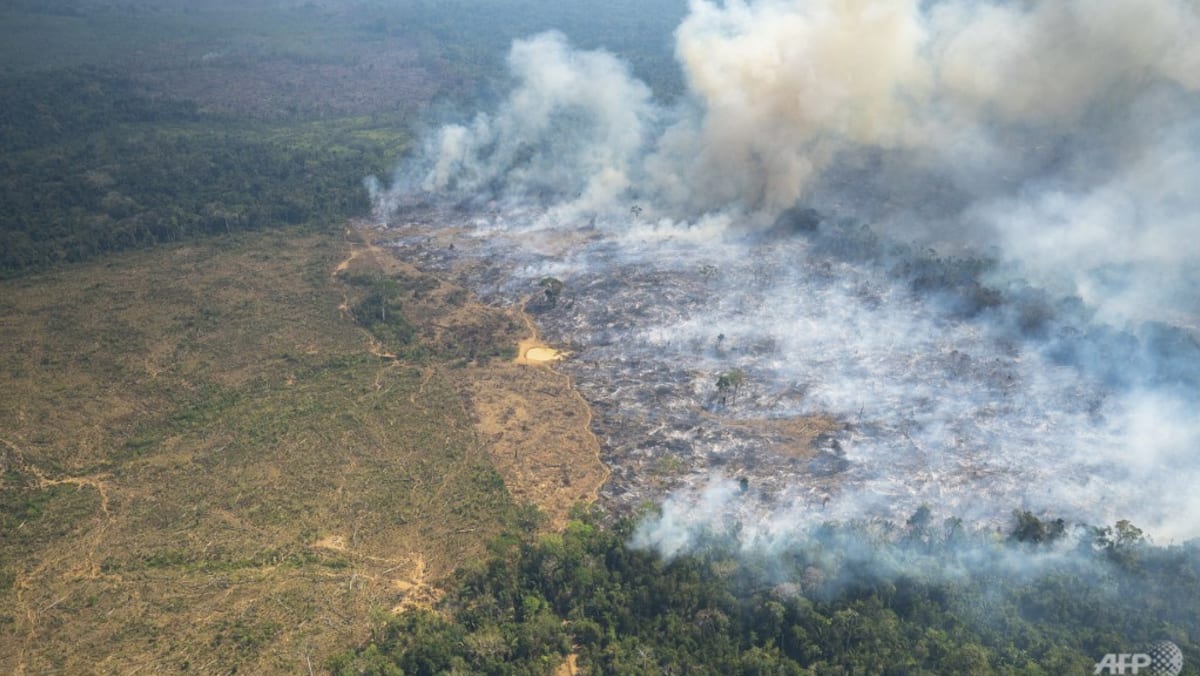 Record heat, forest fires in Colombia's Amazon in January