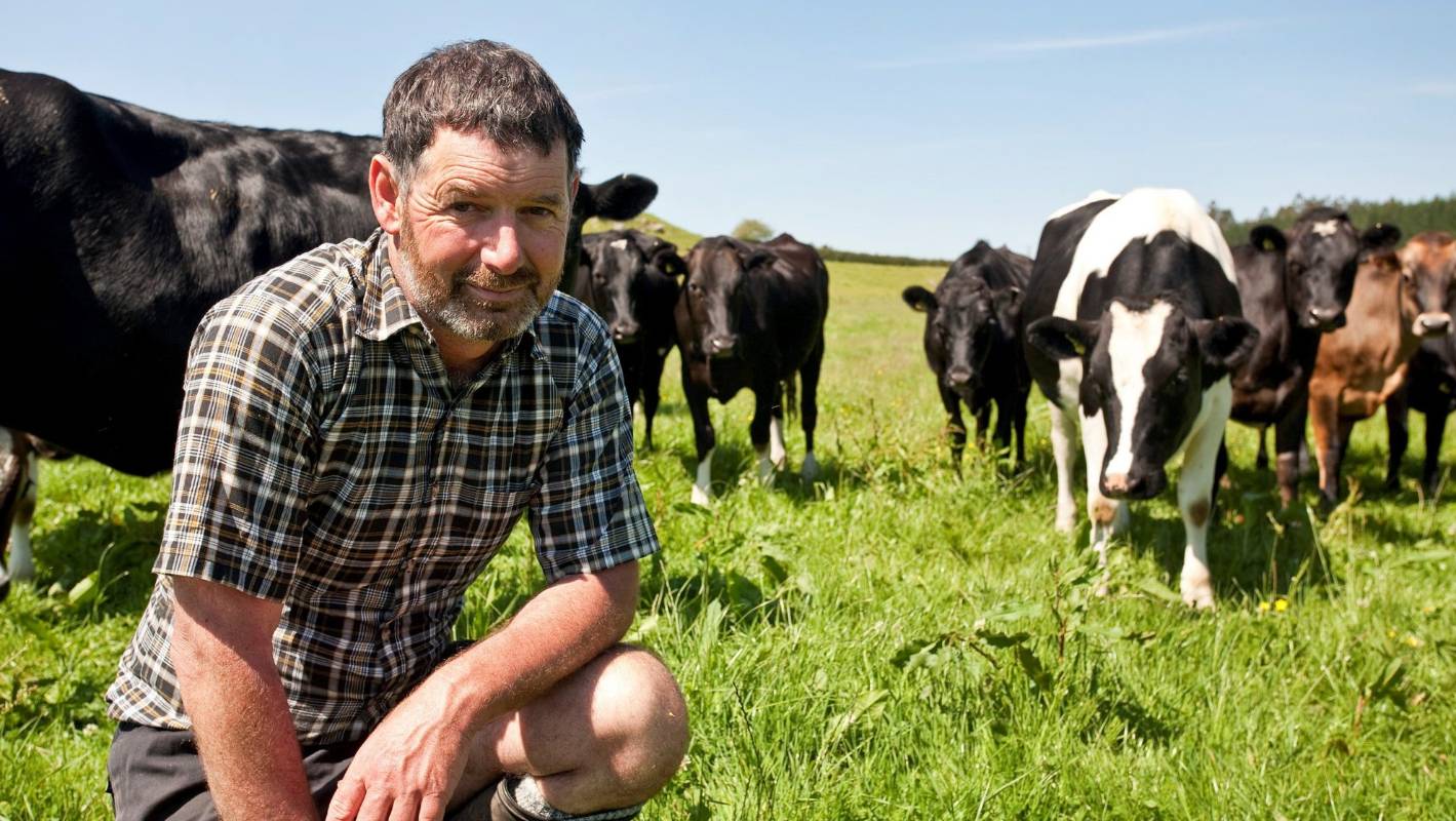 Hot cows, less delicious wine: The problems food growers face with climate change