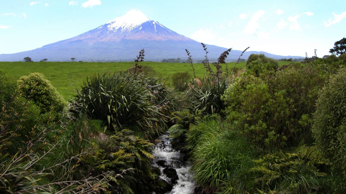 Govt $5m boost for riparian planting in Taranaki