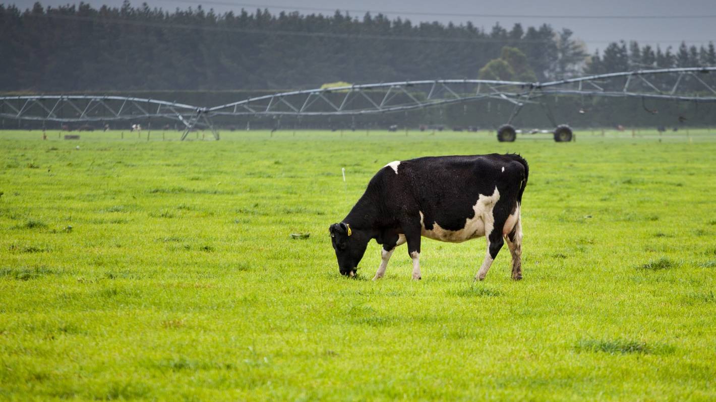 Regenerative farming: NZ soils need fertilizers to be productive
