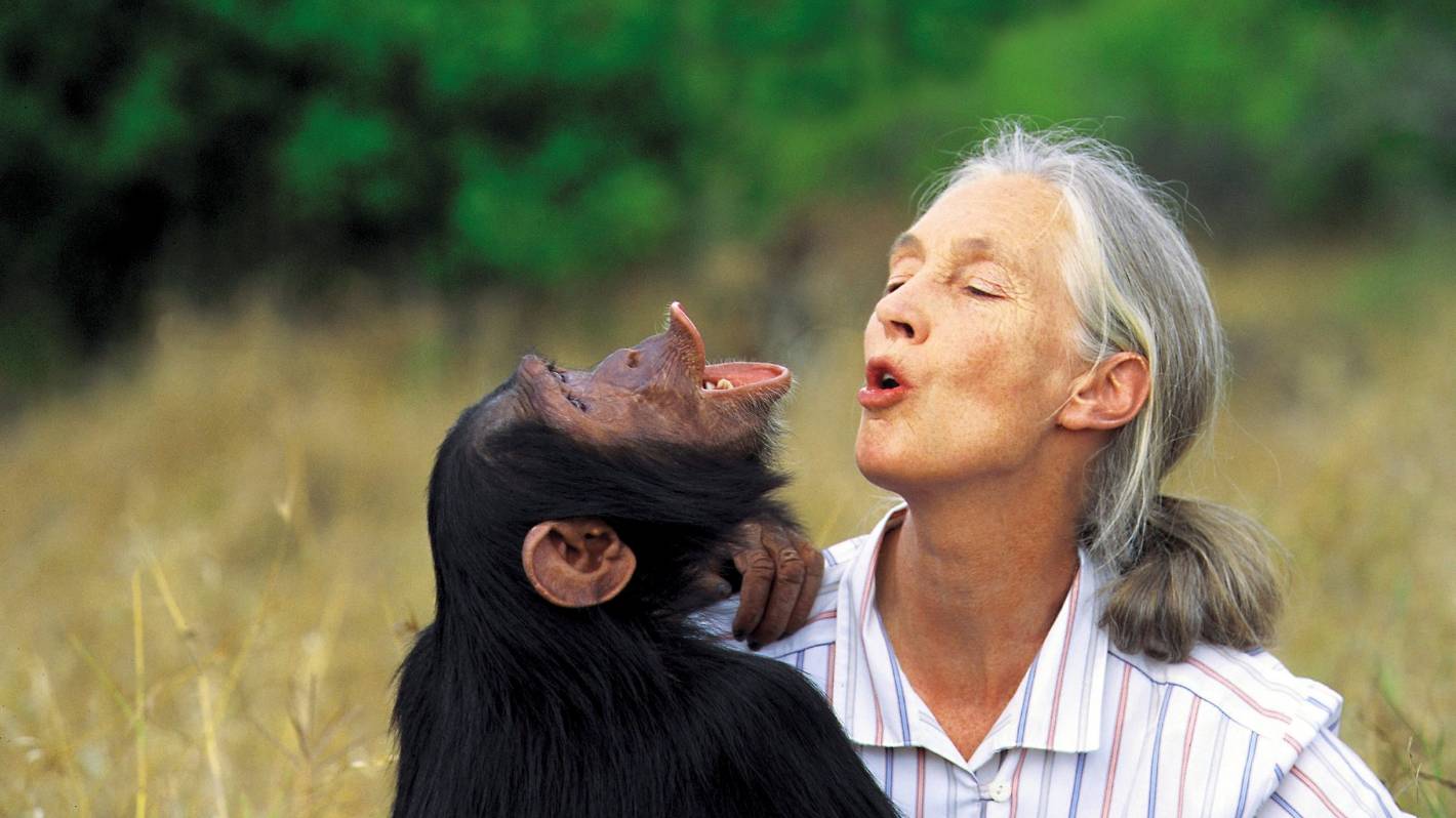 Jane Goodall is still hopeful our post-pandemic world can be carbon zero