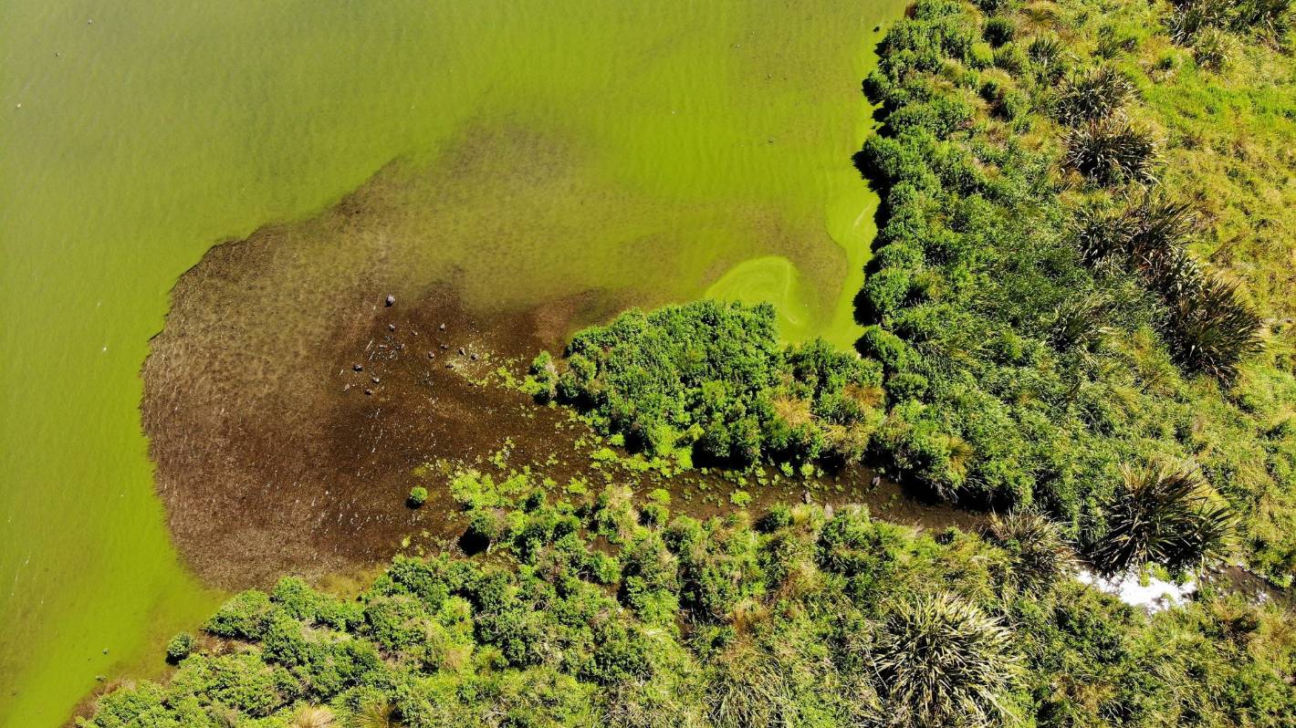 Te Arawhiti sounds warning over Lake Horowhenua water quality exemption