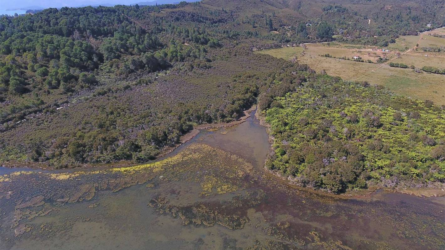 Golden Bay residents buy coastal wetland for restoration