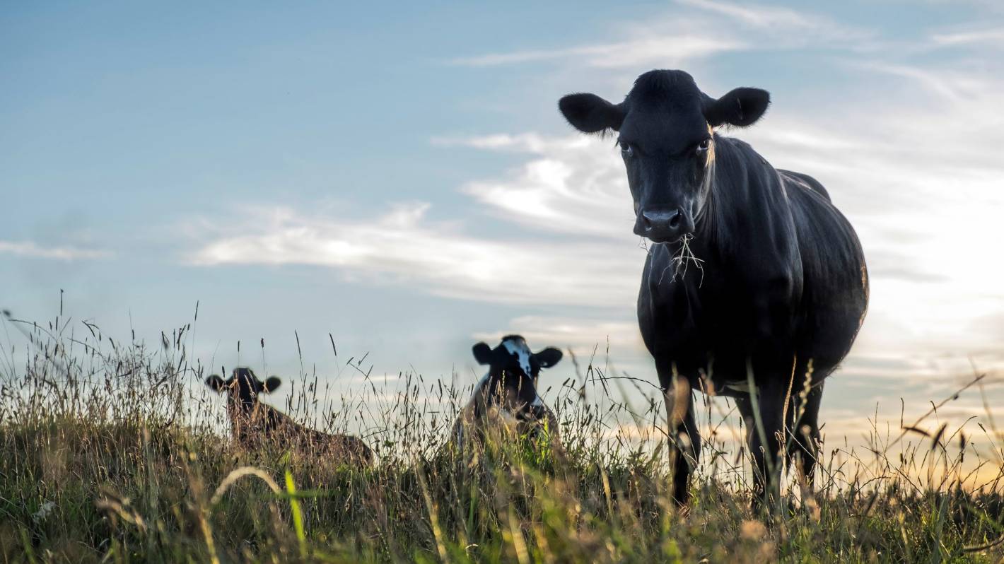 Can farming actually stick to the Climate Change Commission's plan?