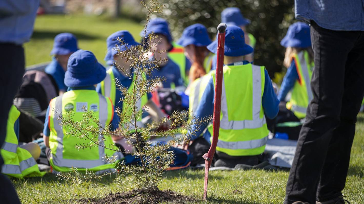 100,000th native tree planted in mini forest scheme in Canterbury