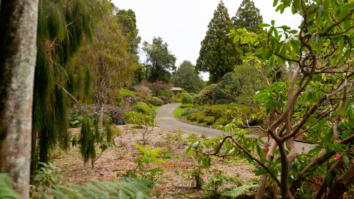 Pukeiti Garden aims to minimise future impact of climate change