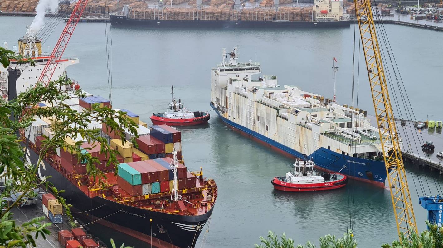 Live export ship Yangtze Fortune docks in Napier before taking 5000 cattle to China
