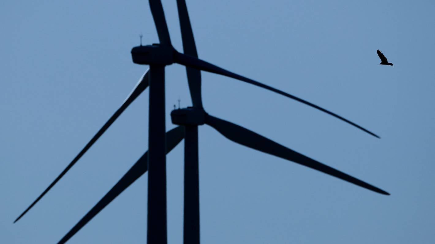 Staunch opposition to wind turbines keeps Stewart Island running on diesel power