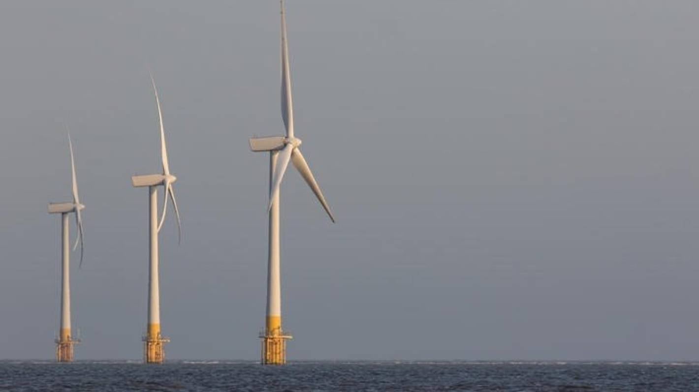 Oceanex Energy eyes Taranaki for offshore wind farms