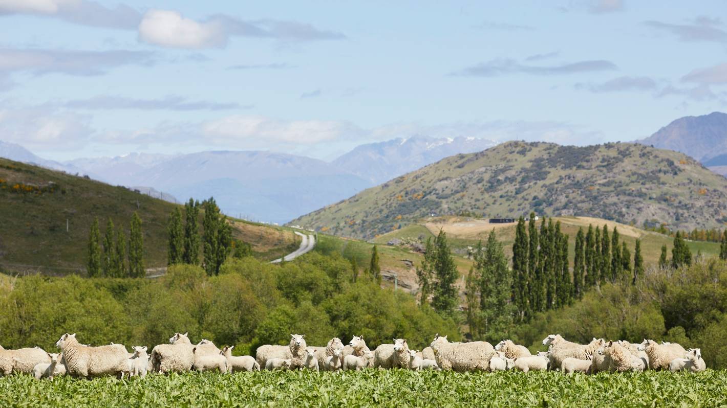 Nadia Lim: We need to eat quality meat to ensure a sustainable future