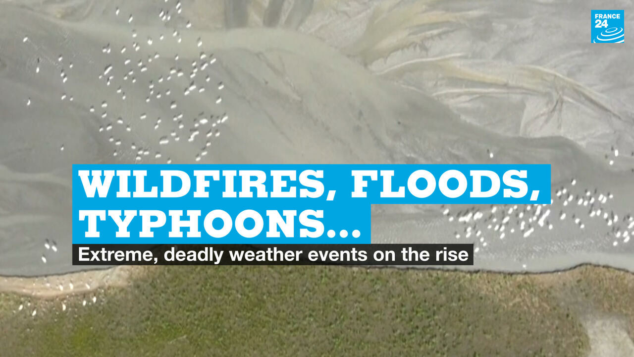Wildfires, floods, sandstorms, typhoons…Extreme, deadly weather events on the rise
