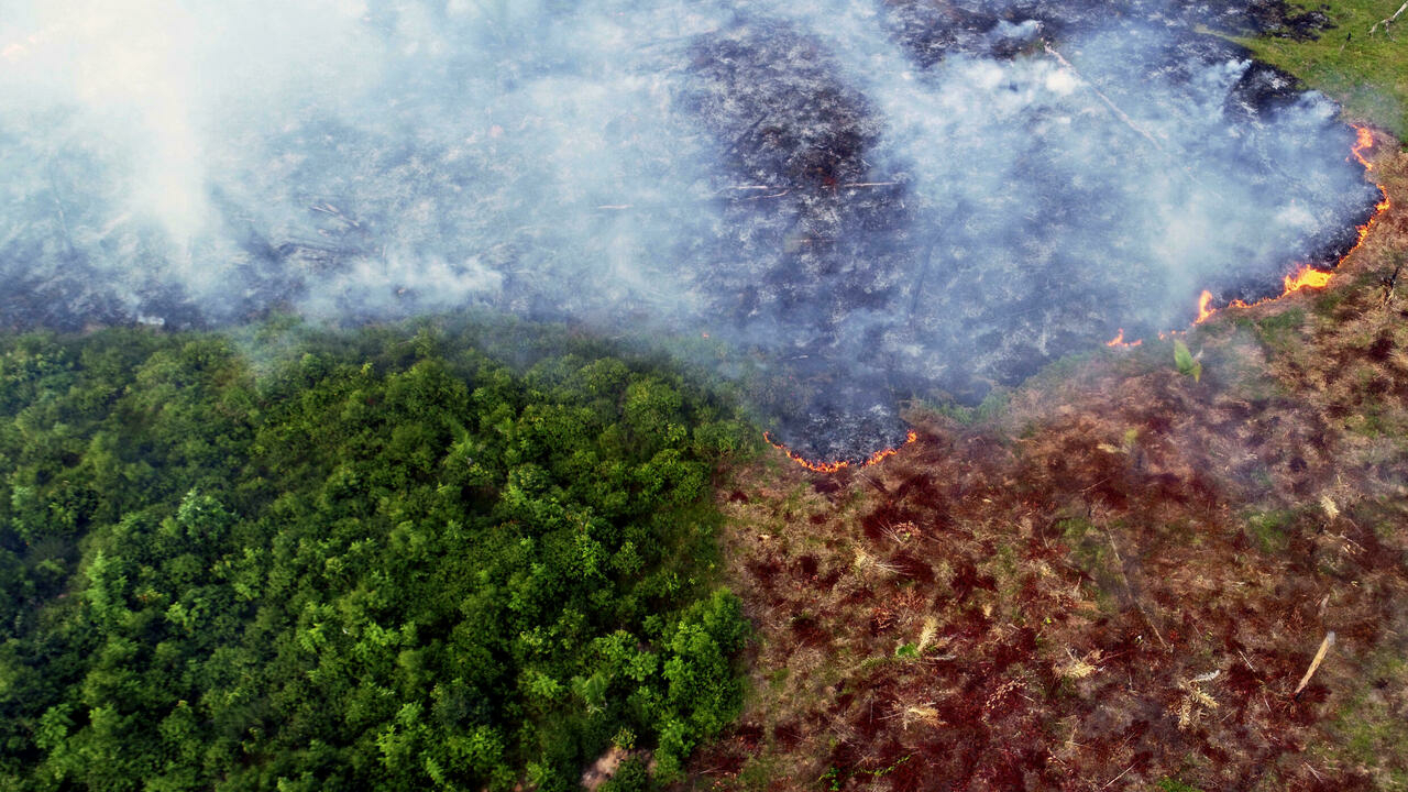 Warming, deforestation turn Amazon into source of CO2