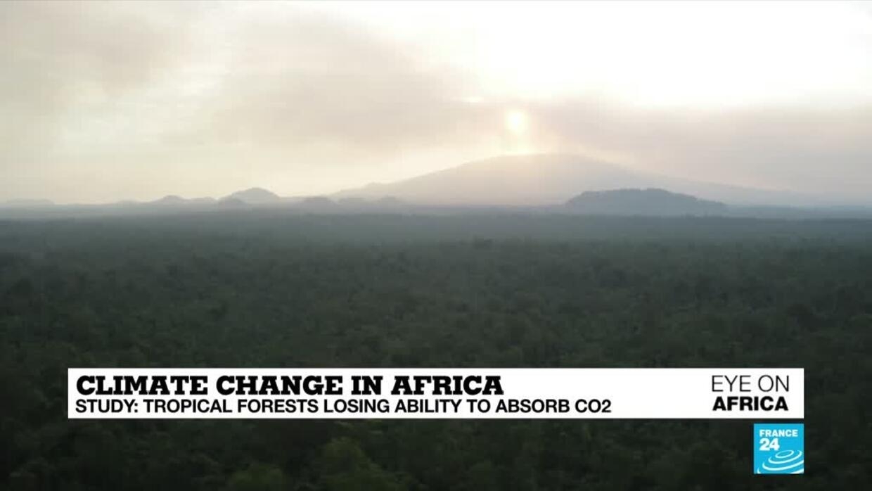 Climate change in Africa: tropical forests losing ability to absorb carbon dioxide